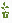 plante ornamentale