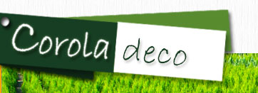 TUIA GARD VIU PLANTE ORNAMENTALE PEPINIERA COROLA DECO ARBUSTI 